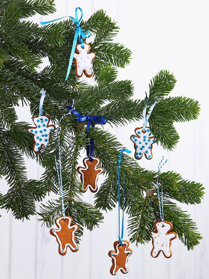 Pine sprig hung with gingerbread men