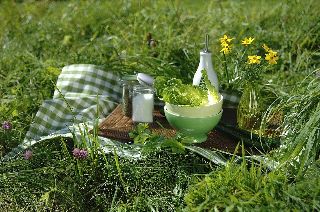 Romanasalat mit Gewürzen und Dressing fürs Picknick