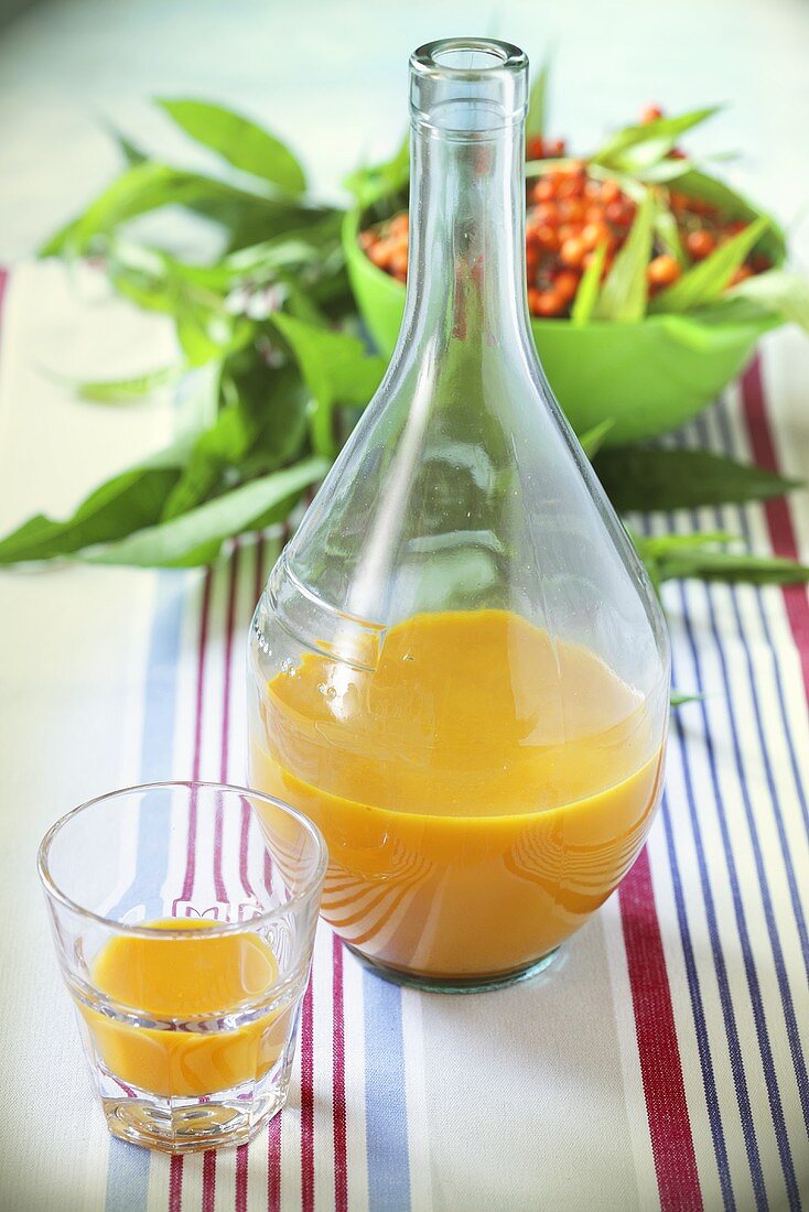 Sanddornsaft in Flasche und Glas