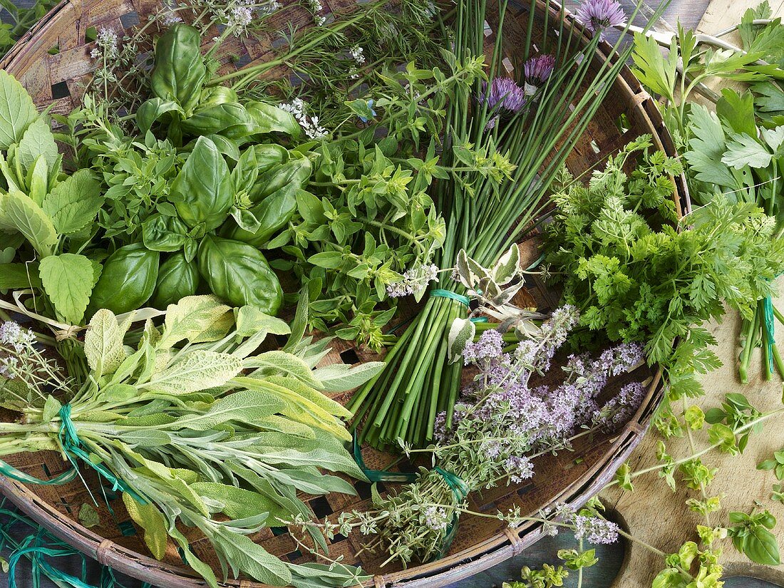 An arrangement of herbs