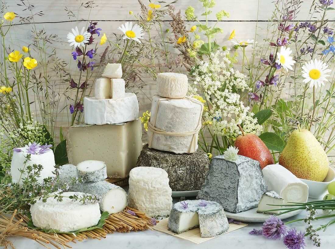 An arrangement of various types of goats' cheese