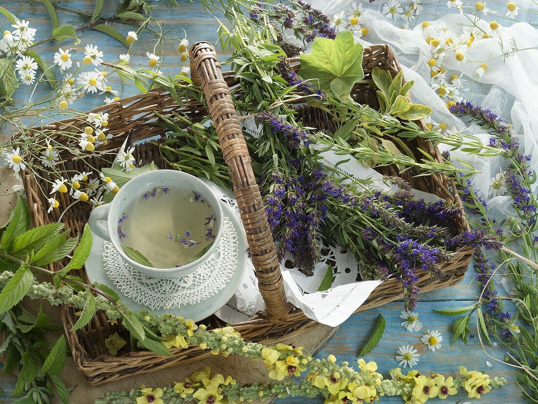A cup of hyssop tea and various tea herbs in a basket