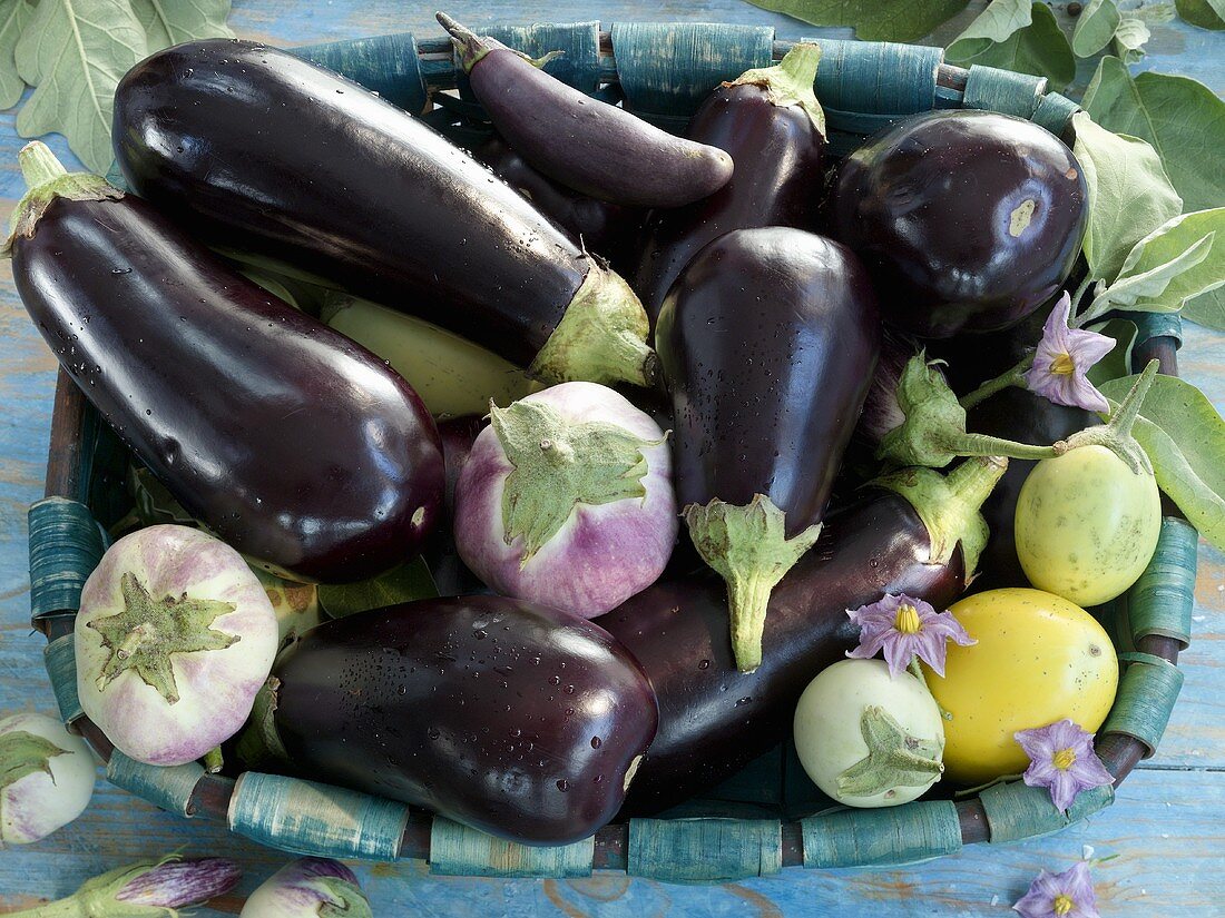 A basket filled with various aubergines