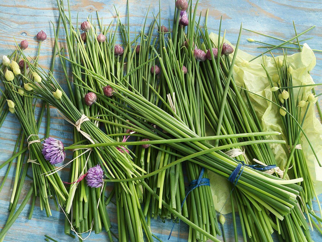 Chives