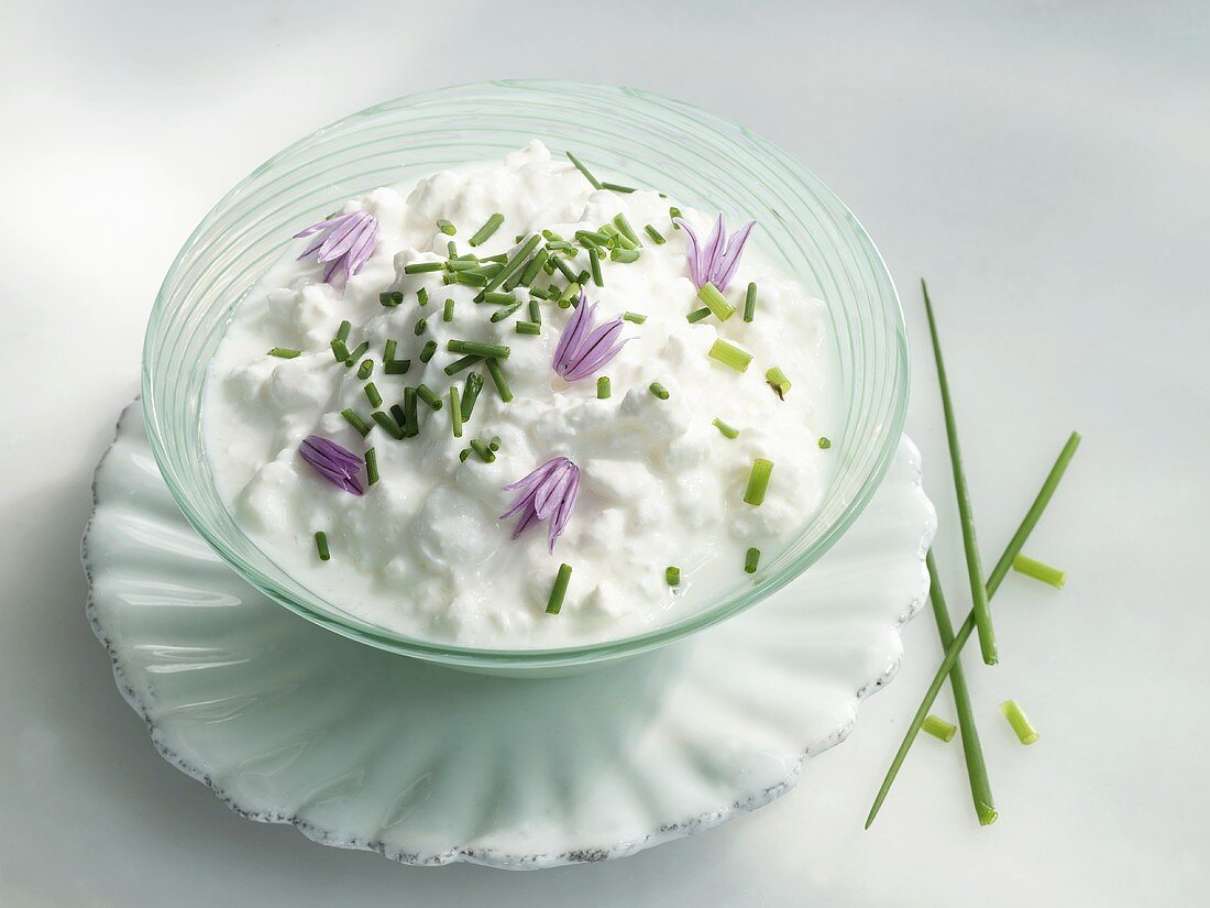 Cottage cheese with chives and chive flowers