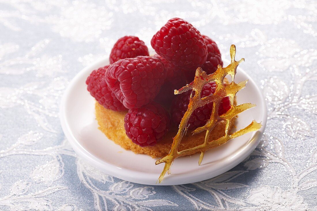 Raspberry tartlets with caramel latticework