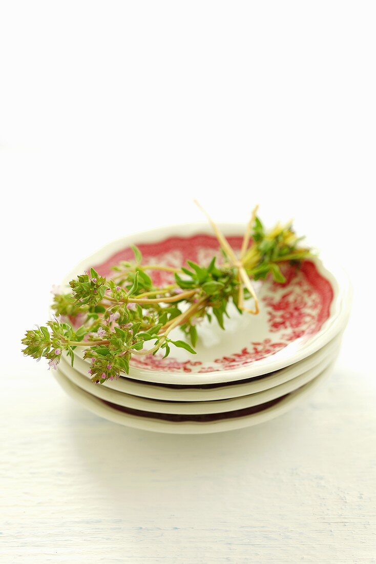 A bunch of marjoram on a stack of plates
