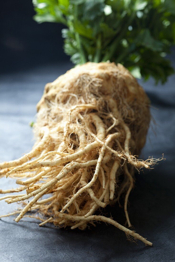 Celeriac