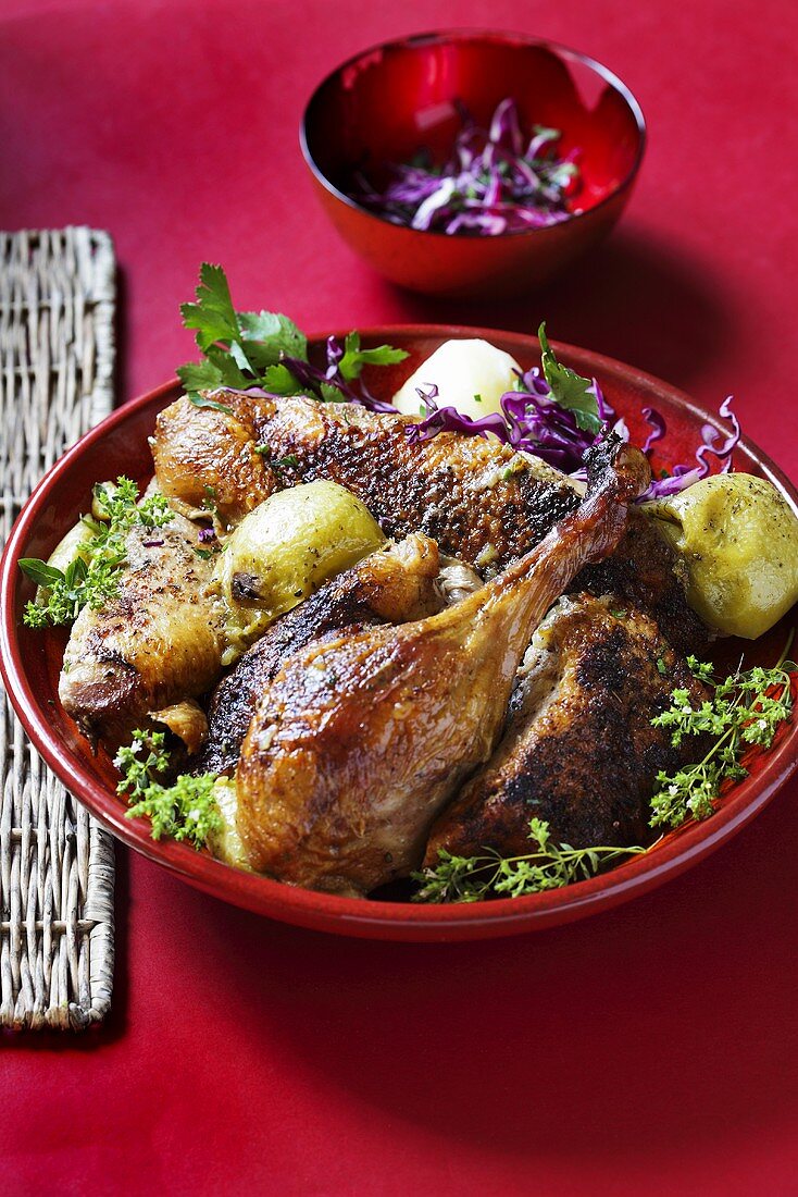 Roast goose legs with red cabbage and herbs