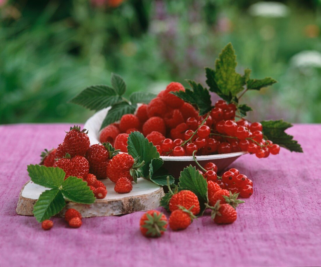 An arrangement of red berries on a table in the open air