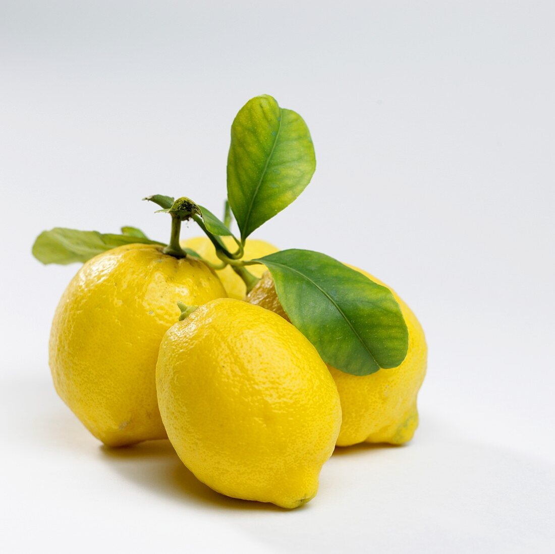 Fresh lemons with leaves