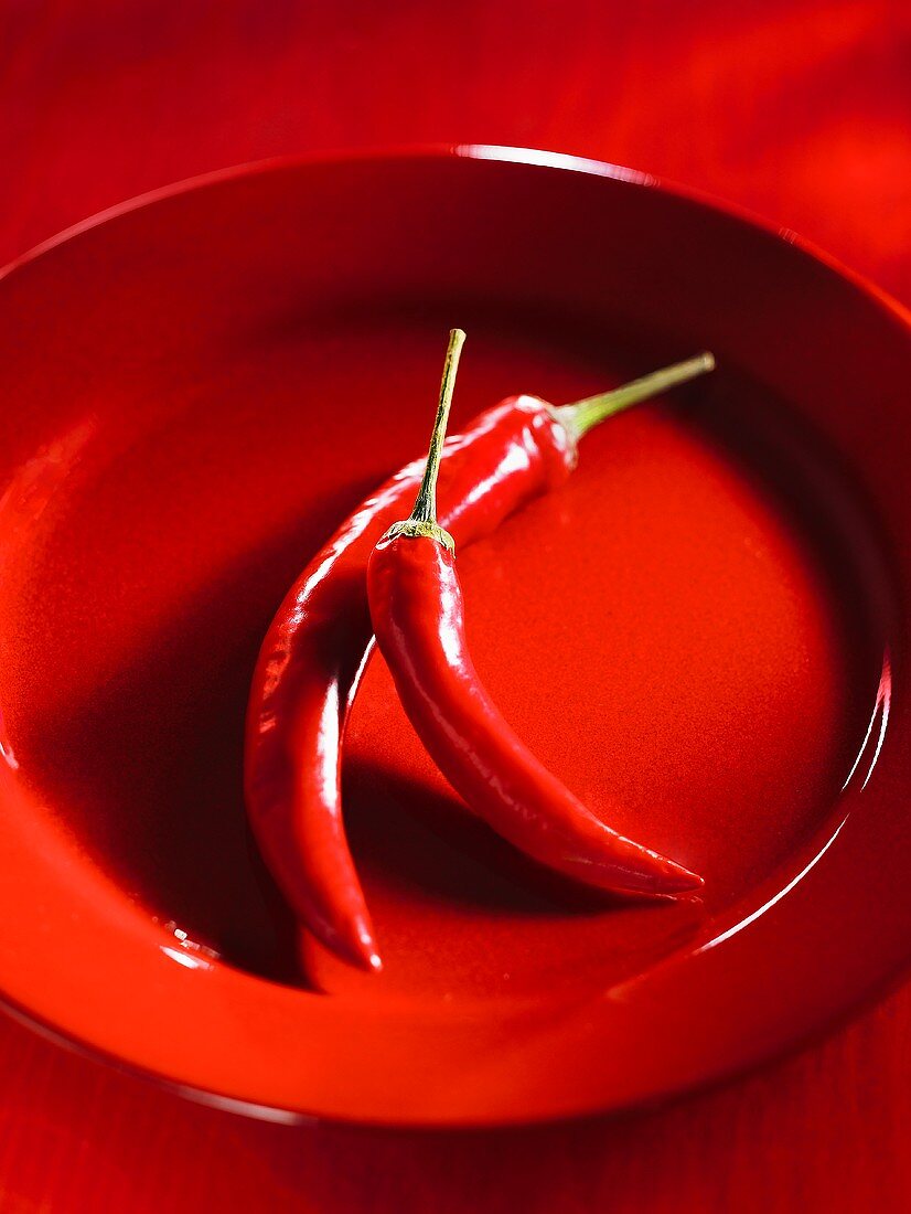 Zwei rote Chilischoten auf rotem Teller