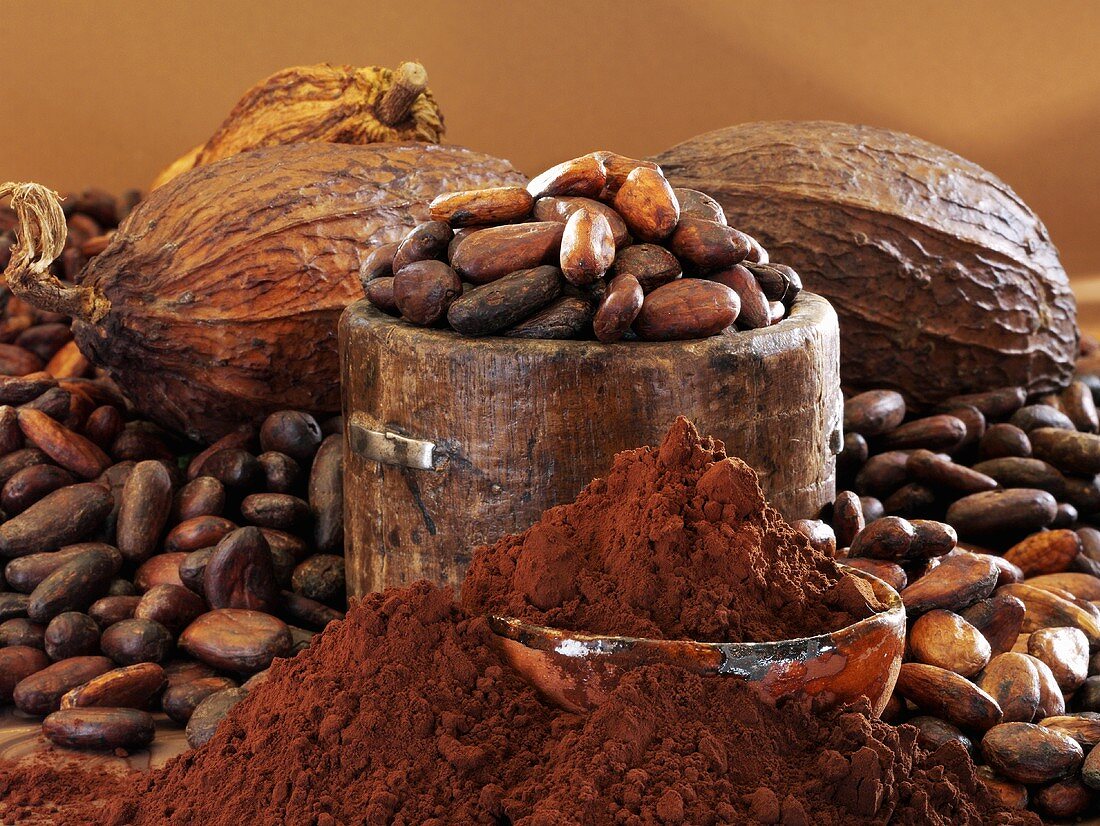 Stillleben mit Kakaopulver, Kakaobohnen, Kakaofrüchten