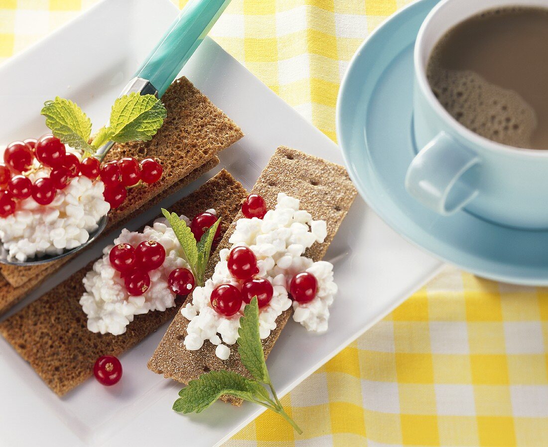 Knäckebrot mit körnigem Frischkäse und Johannisbeeren