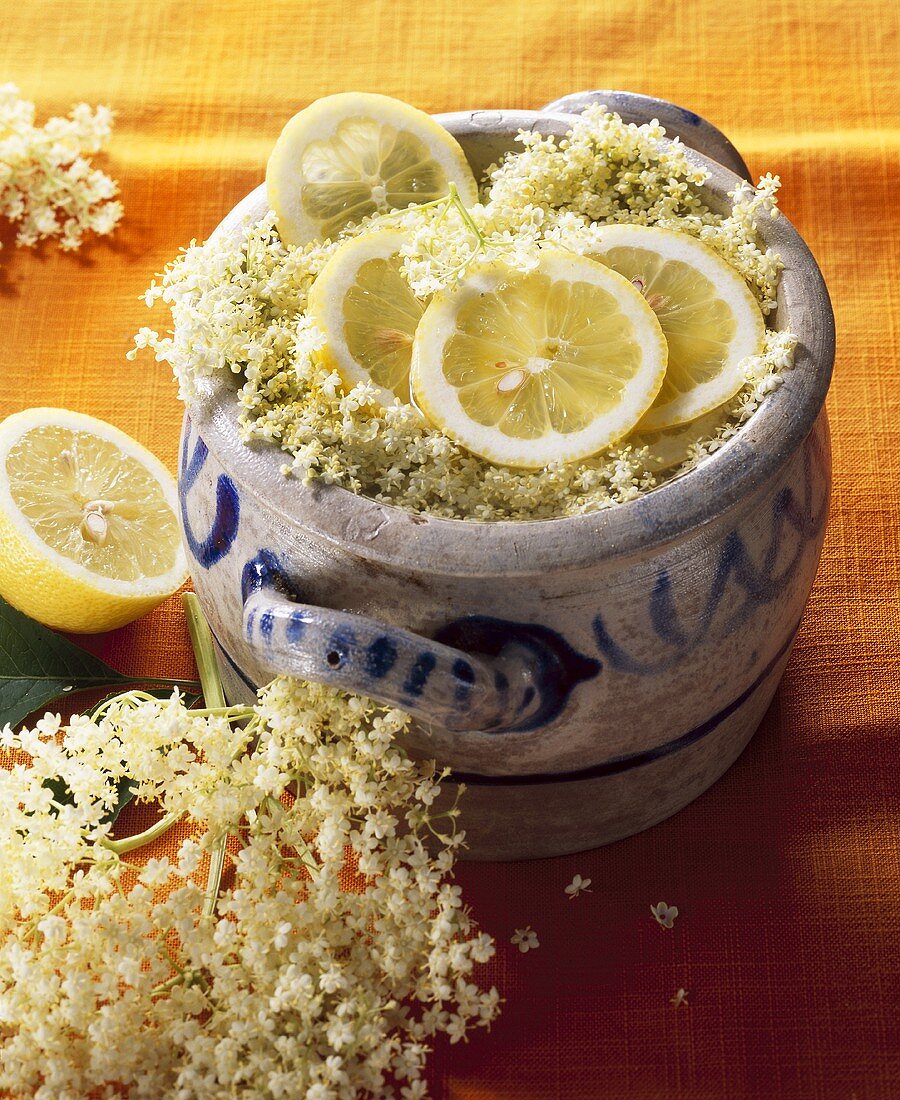 Limonade mit Holunderblüten