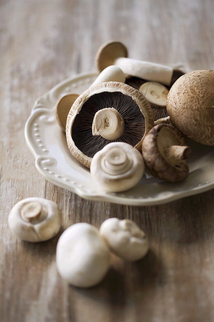 Chestnut mushrooms and white button mushrooms