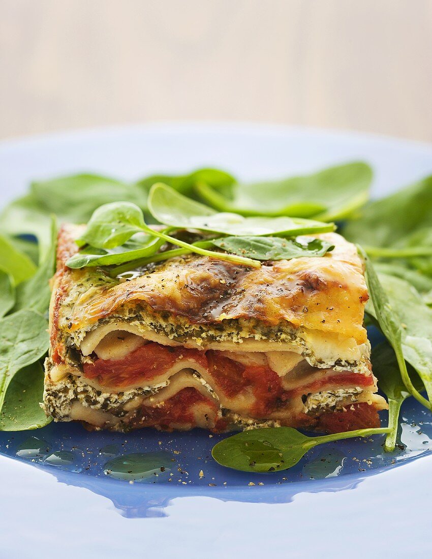 Gemüse-Ricotta-Lasagne mit Spinatsalat