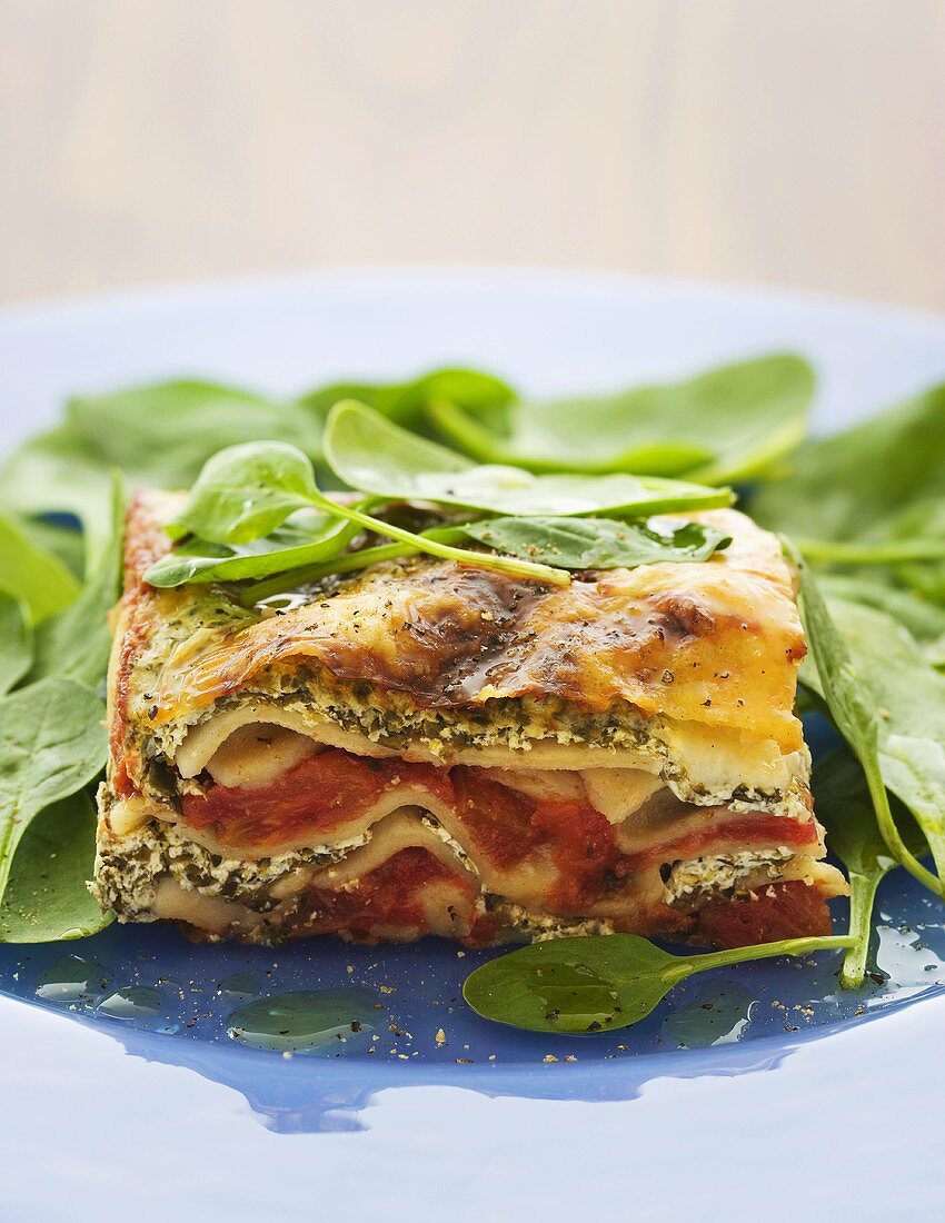 Vegetable and ricotta lasagne with spinach salad