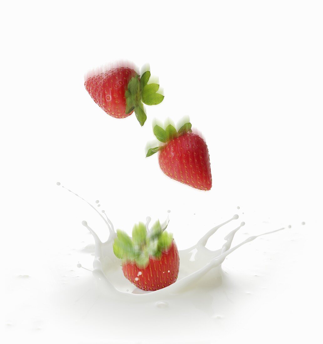 Erdbeeren fallen in Milch