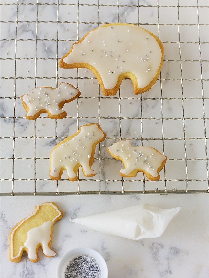Iced polar bear biscuits