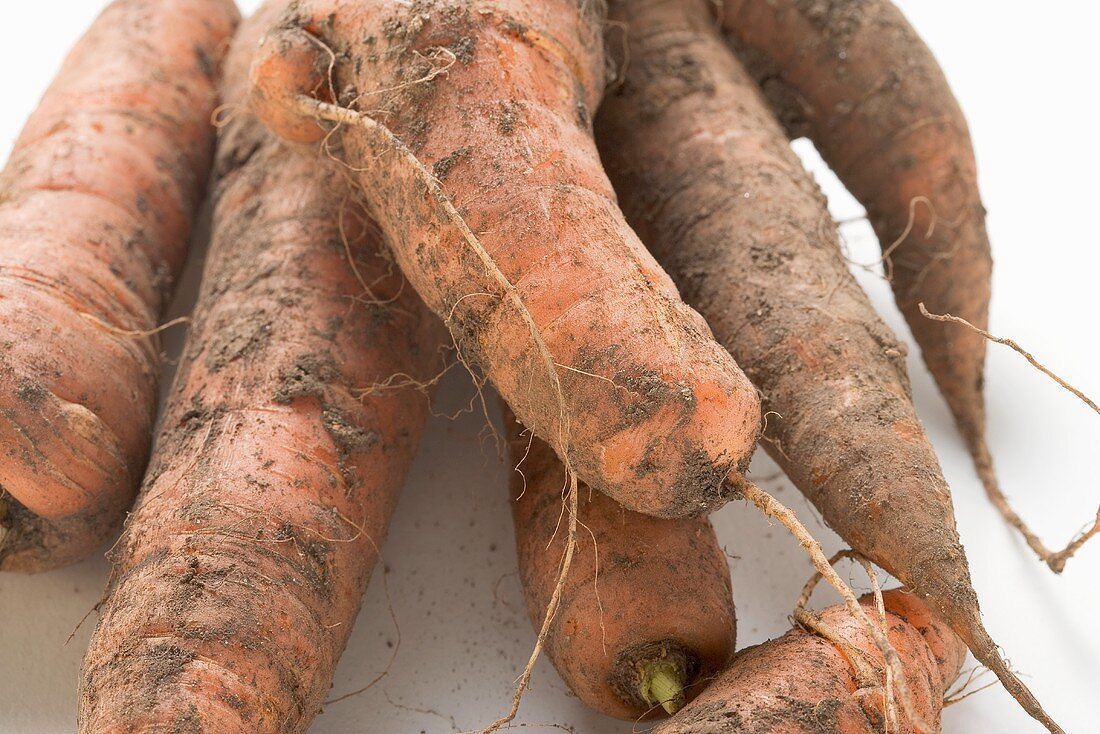 Dirty carrots (close-up)