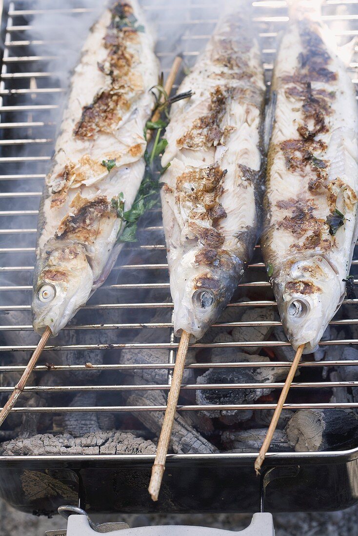 Steckerlfische (skewered fish) on barbecue rack