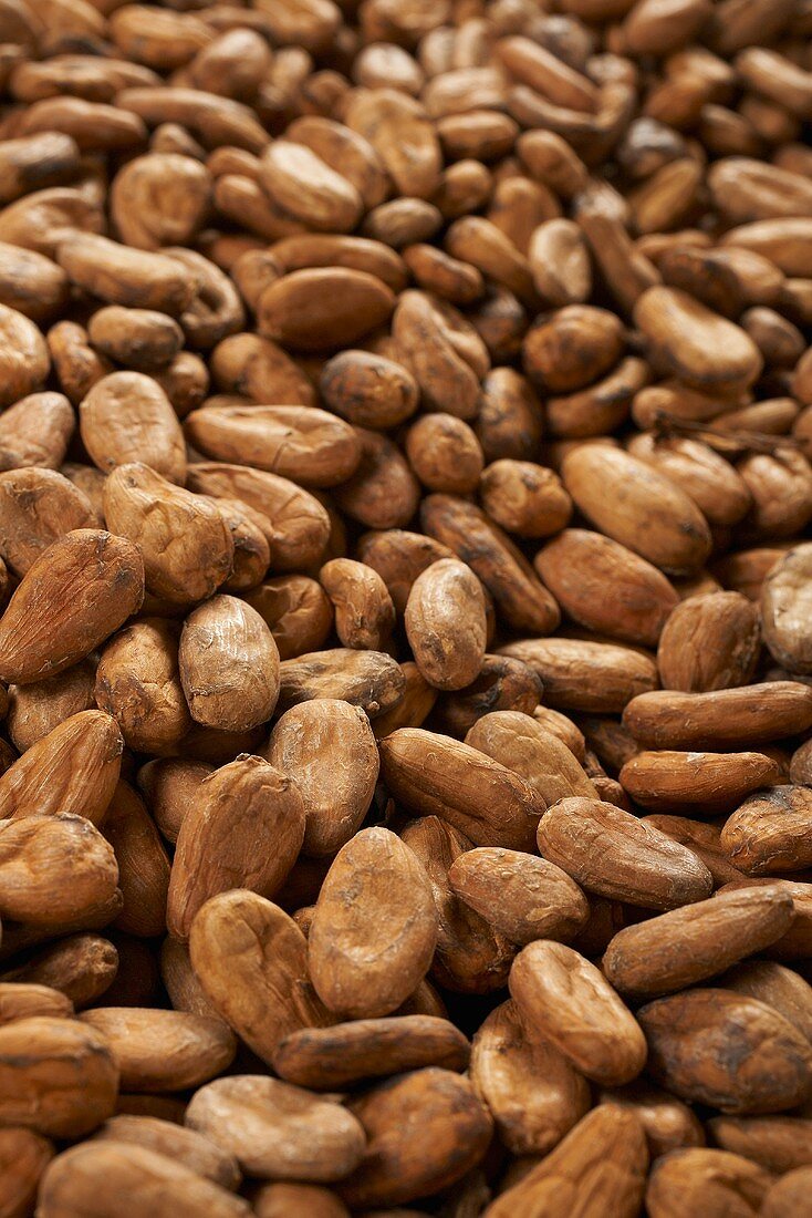 Cocoa beans (full-frame)