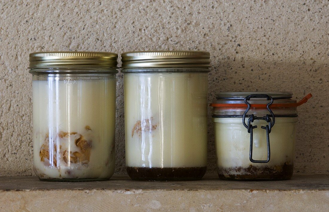 Duck confit and duck fat in preserving jars