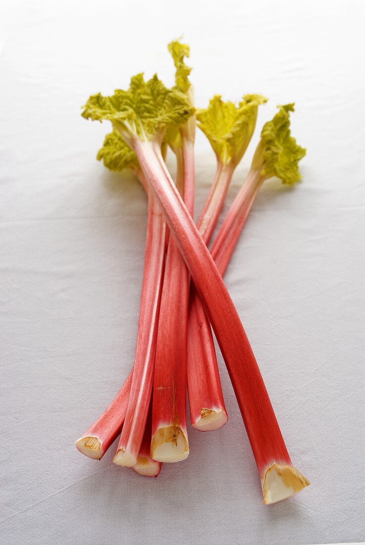 Fresh rhubarb