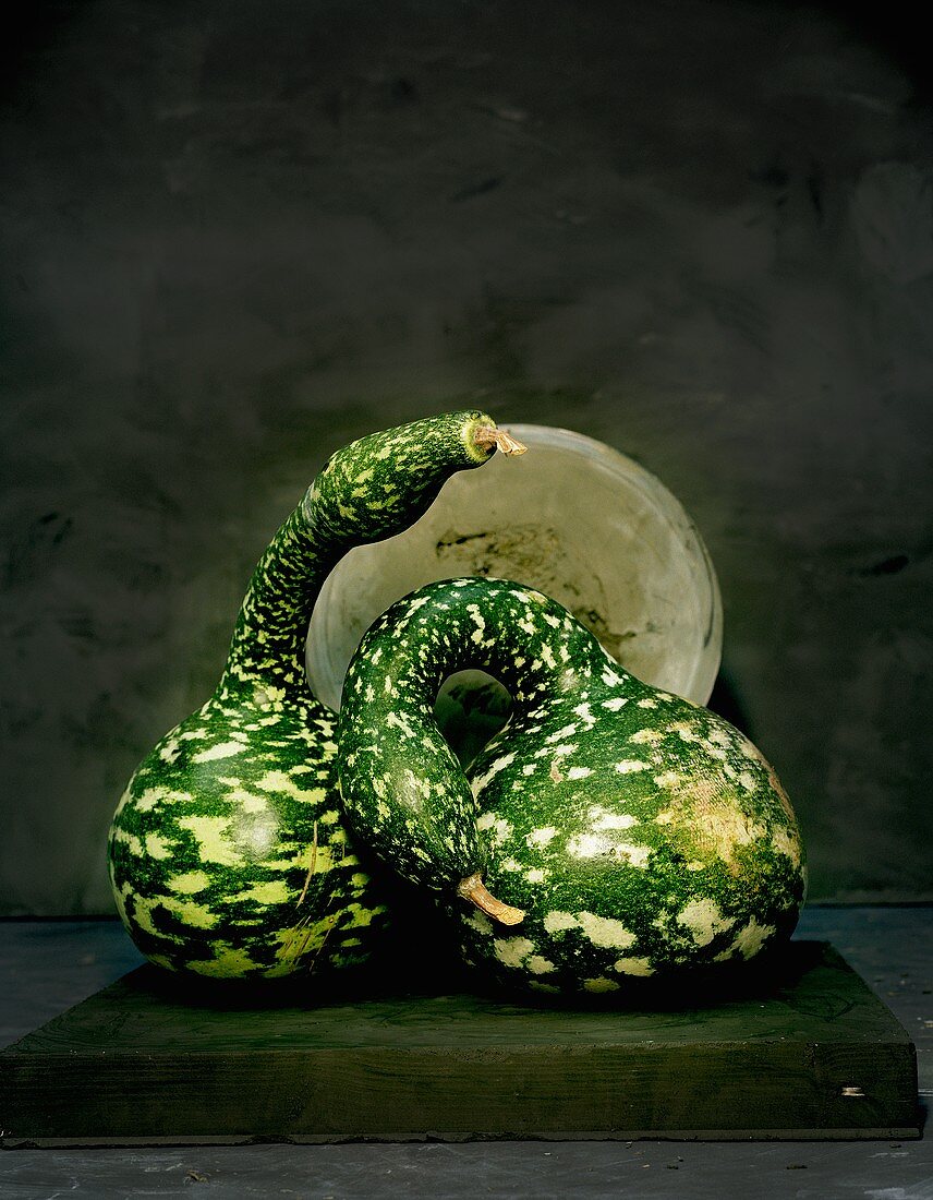 Zwei grüne Schlangenkürbisse