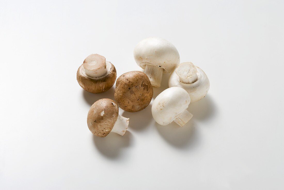 White button mushrooms and chestnut mushrooms
