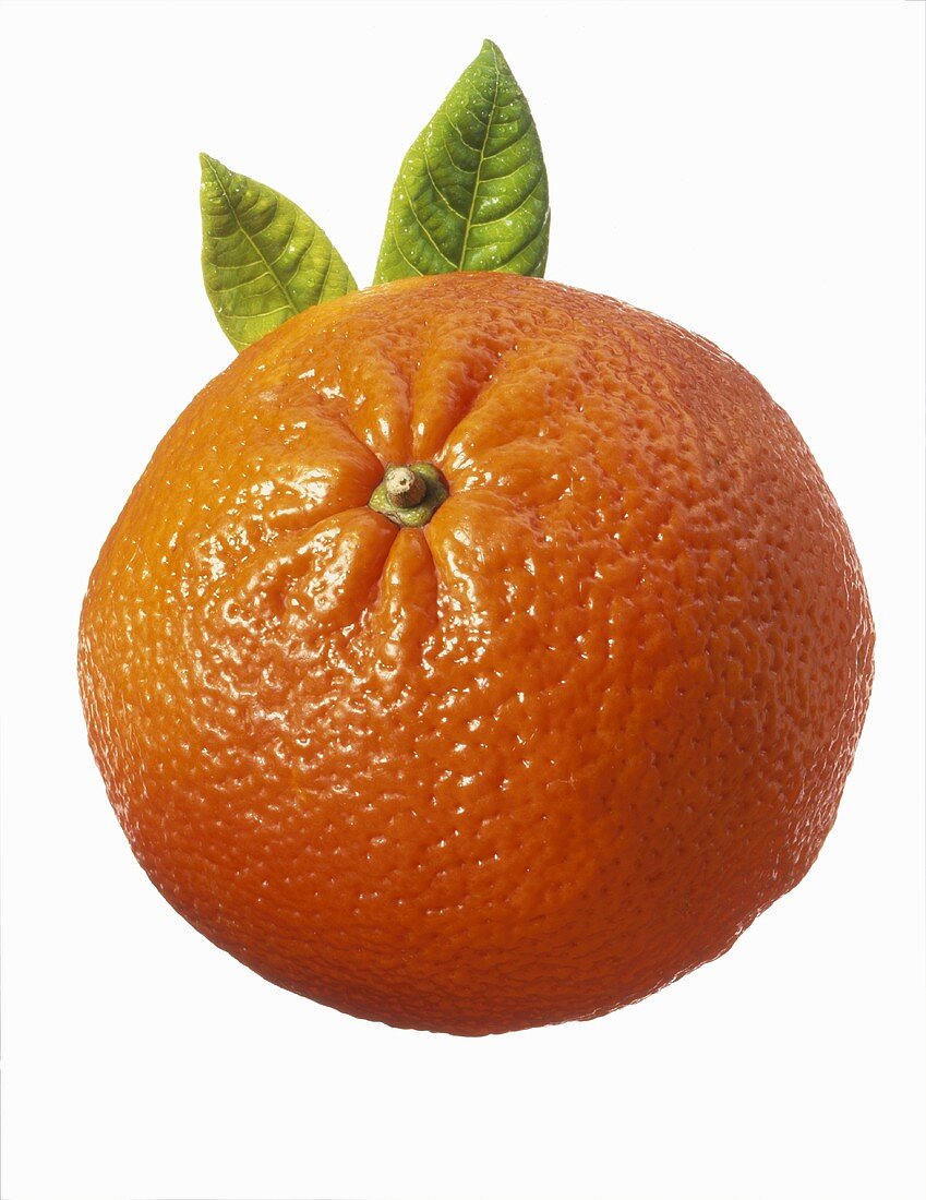 A mandarin orange against a white background