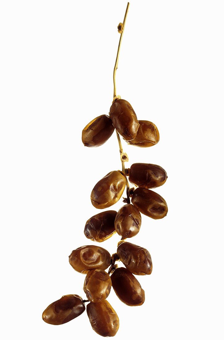 A cluster of fresh dates against a white background