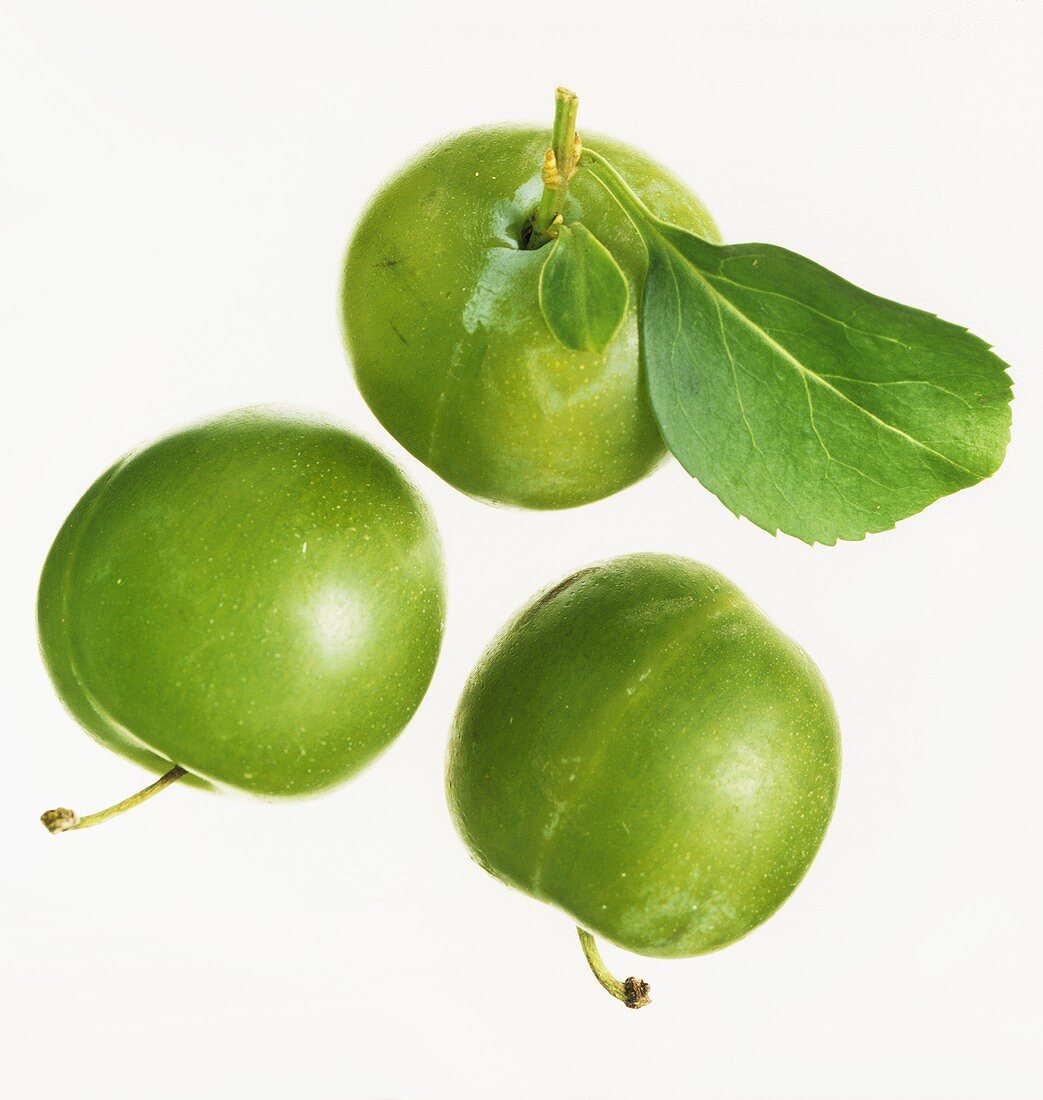 Three greengages against white background