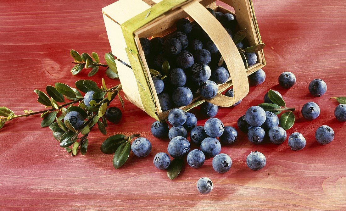 A spilt basket of blueberries