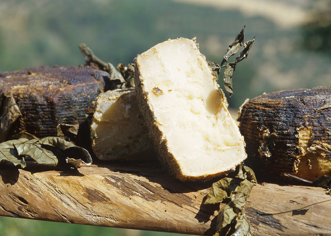 Formaggio di Fossa (semi-firm cheese), Abruzzo, Italy