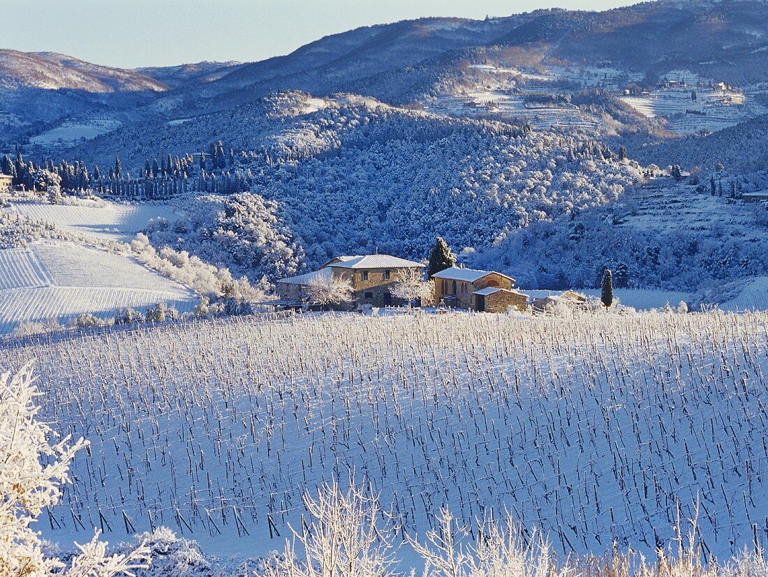 Schneebedeckte Weinberge in der Toskana, Italien