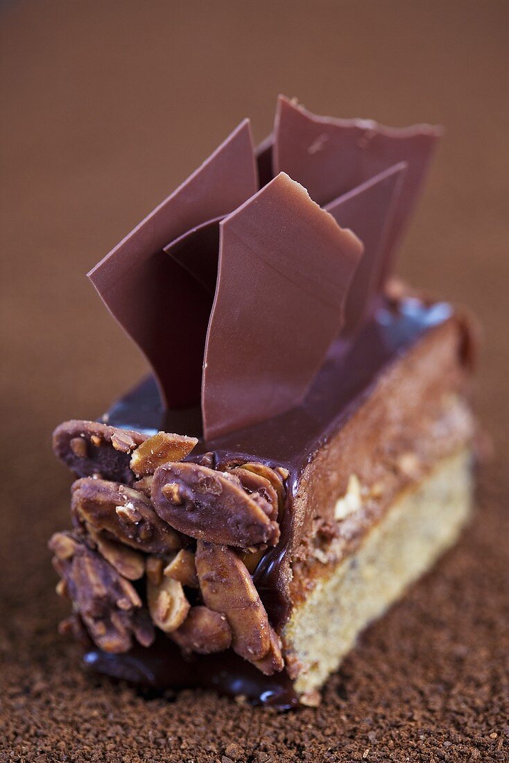 A chocolate-nut slice with chocolate flakes