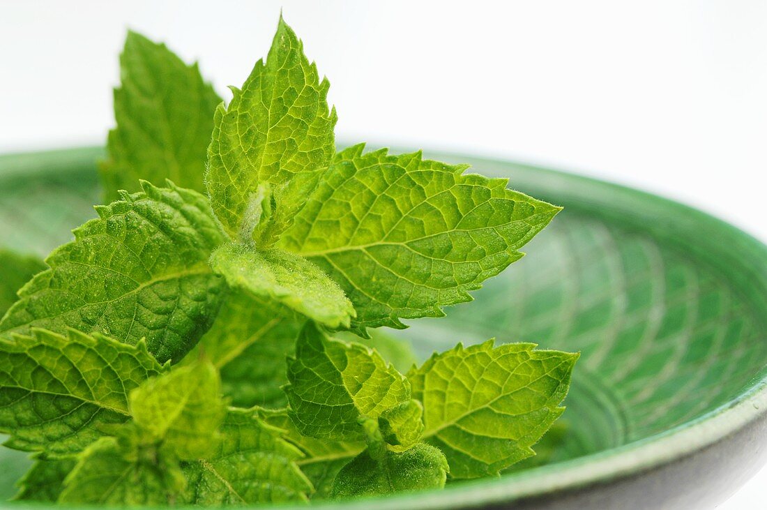 Fresh mint in a green dish