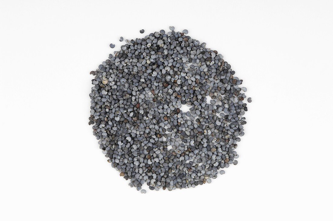 Poppy seeds, seen from above