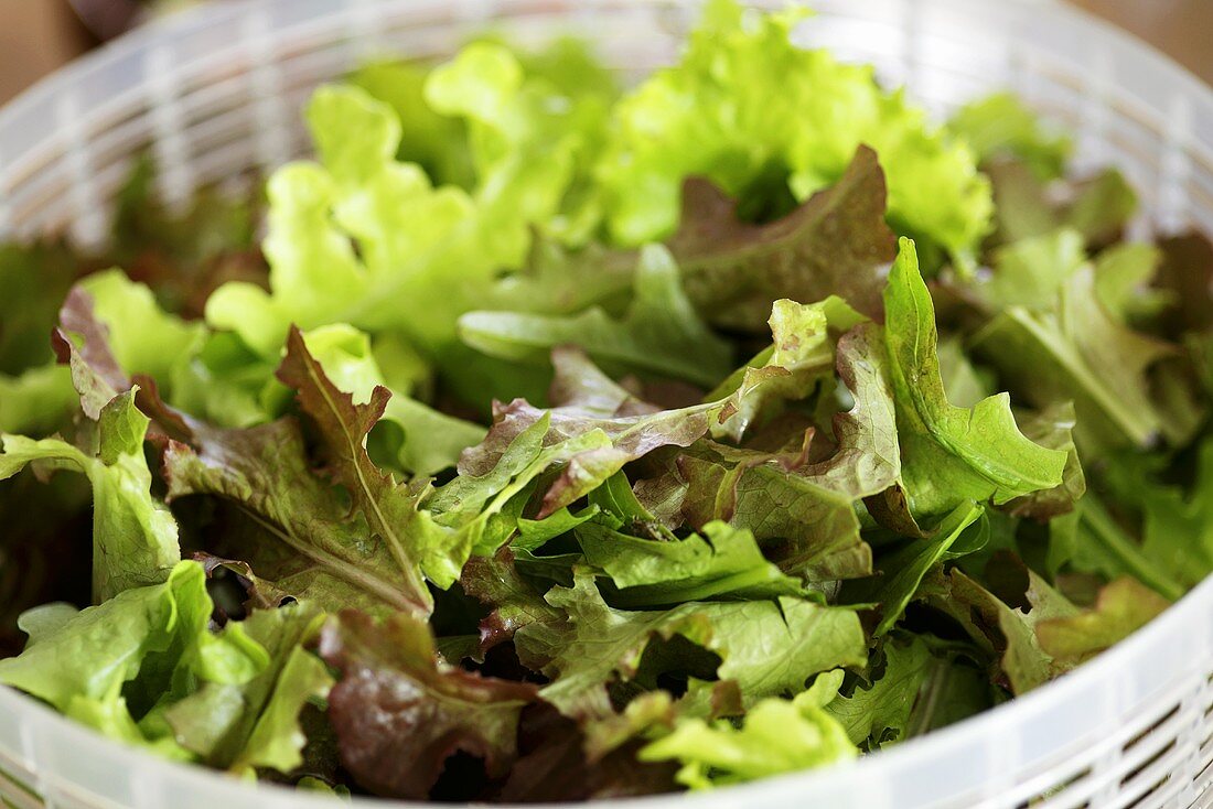 Mixed lettuce leaves in a plastic colander