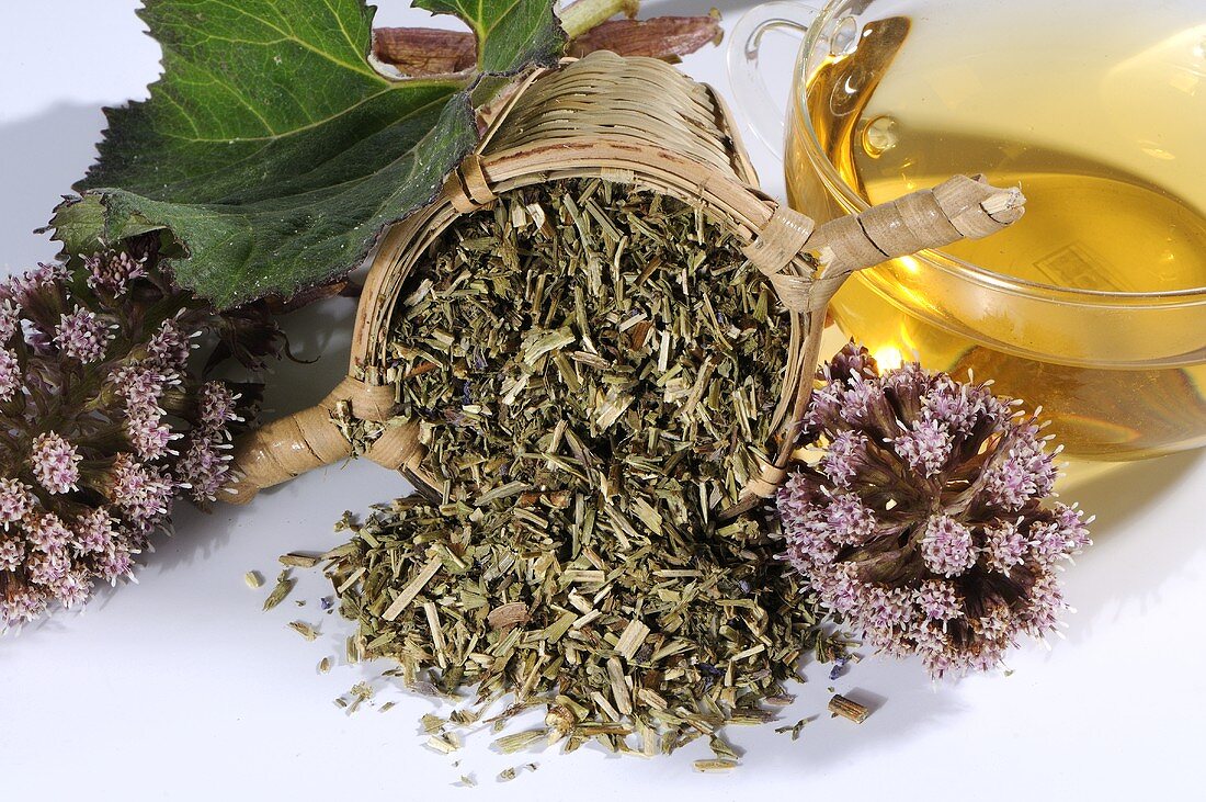 Tea leaves and tea made of common butterbur (petasites hybridus)