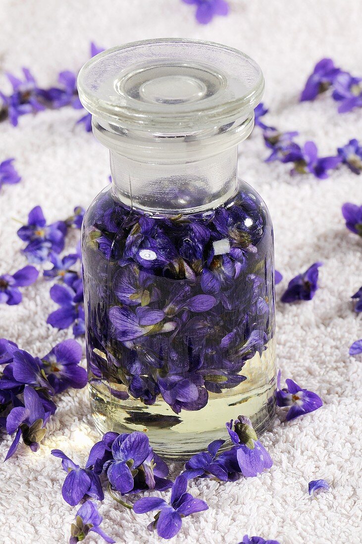 Tincture of sweet violet