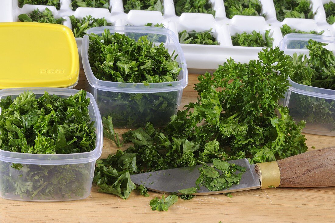 Parsley in plastic boxes and in ice cube trays