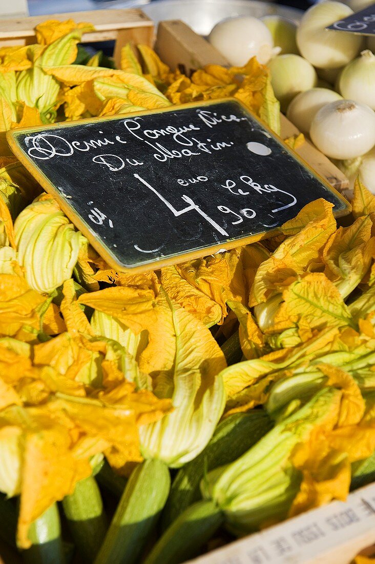 Zucchiniblüten auf dem Markt (Nizza, Frankreich)