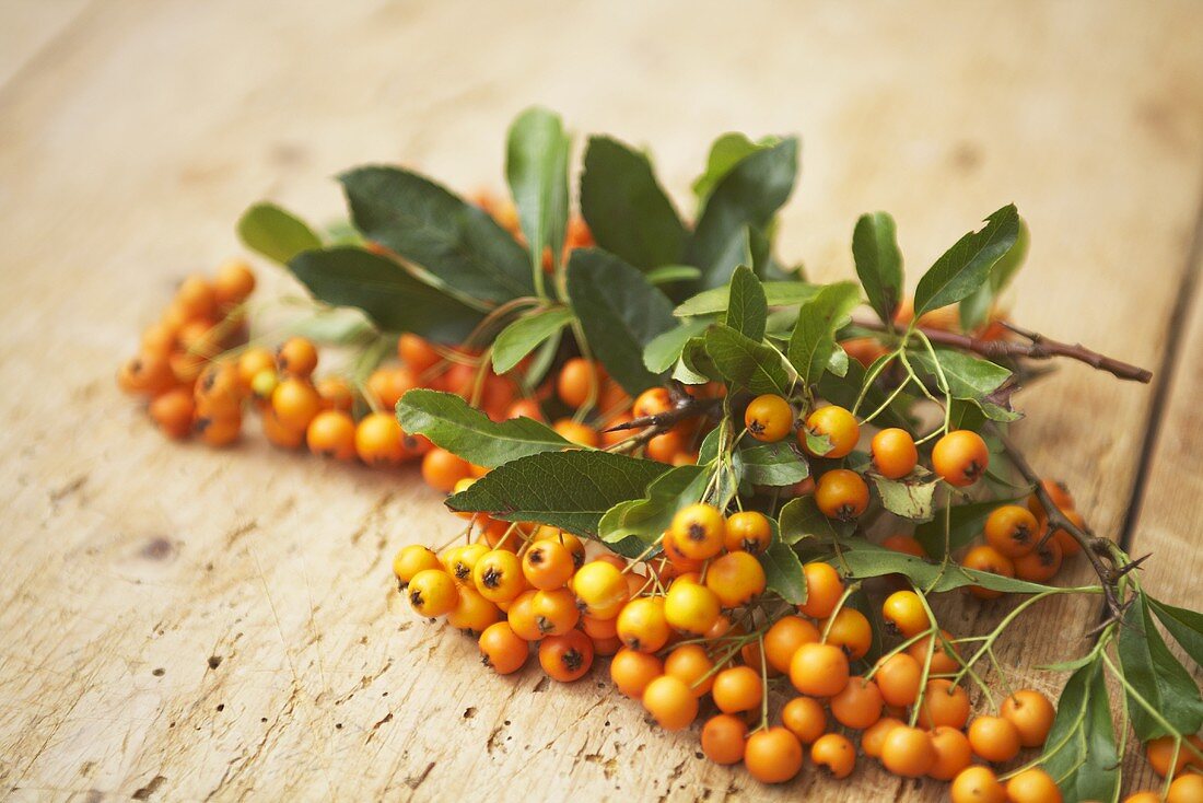 Sea buckthorn with leaves on a wooden surface