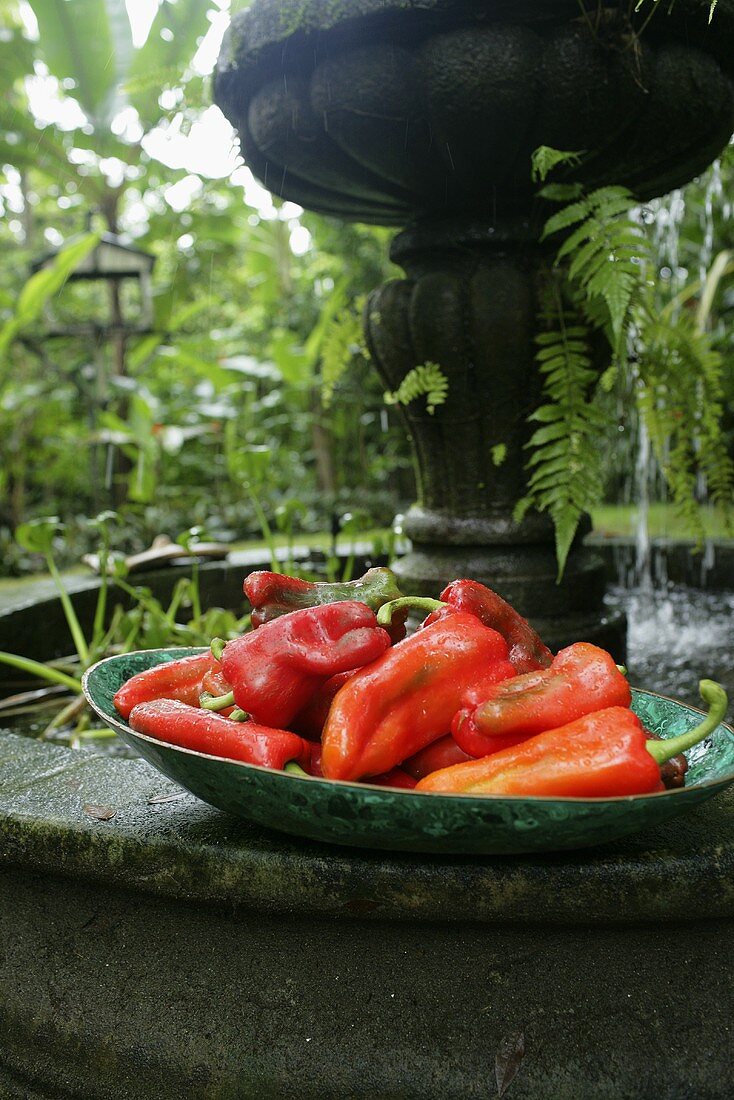 Red chilli peppers in a bowl on a fountain