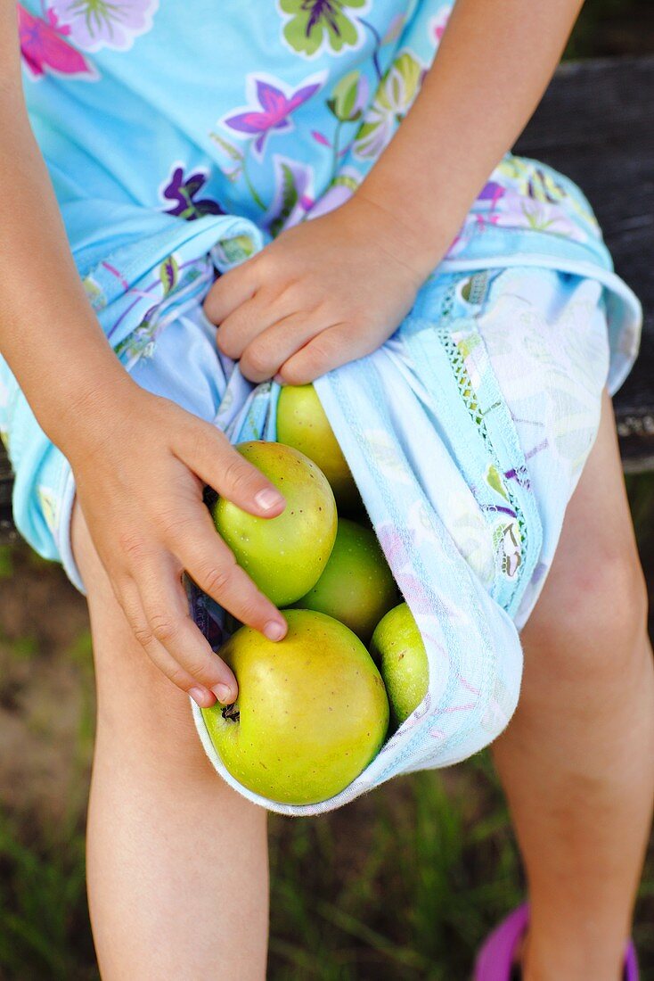 A girl holding green apples in her skirt
