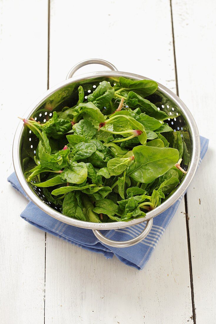 Fresh spinach leaves in a colander