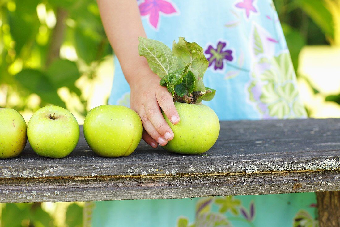 A girl placing green apples on a garden bench